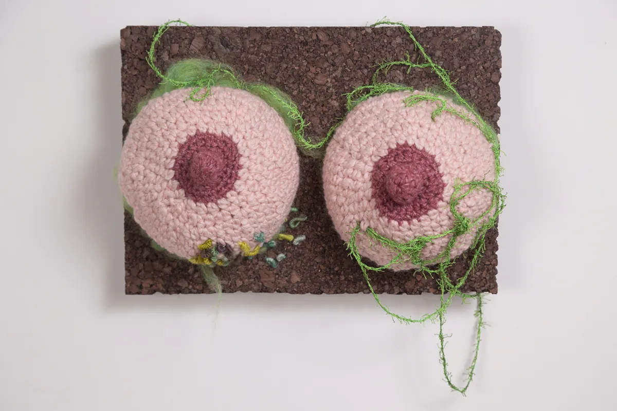 "Breasts" 2016. 12" x 9" x 5". Merino wool, cotton threads, crochet and embroidery.