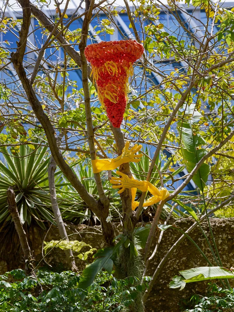 Nest installation on tree trunk in botanical garden