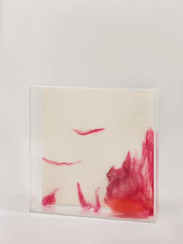 Embossed acid-free paper. Hand-dyed merino roving wool. Acrylic boxes 12" x 12" x 3"