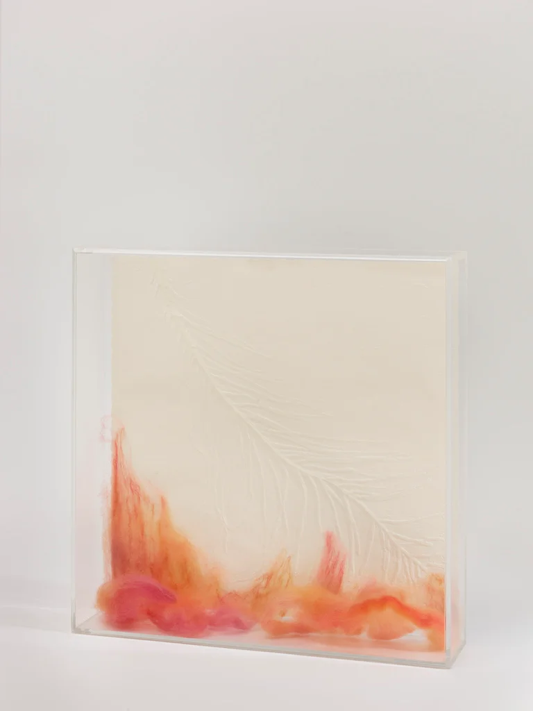 Embossed acid-free paper. Hand-dyed merino roving wool. Acrylic boxes 12" x 12" x 3"