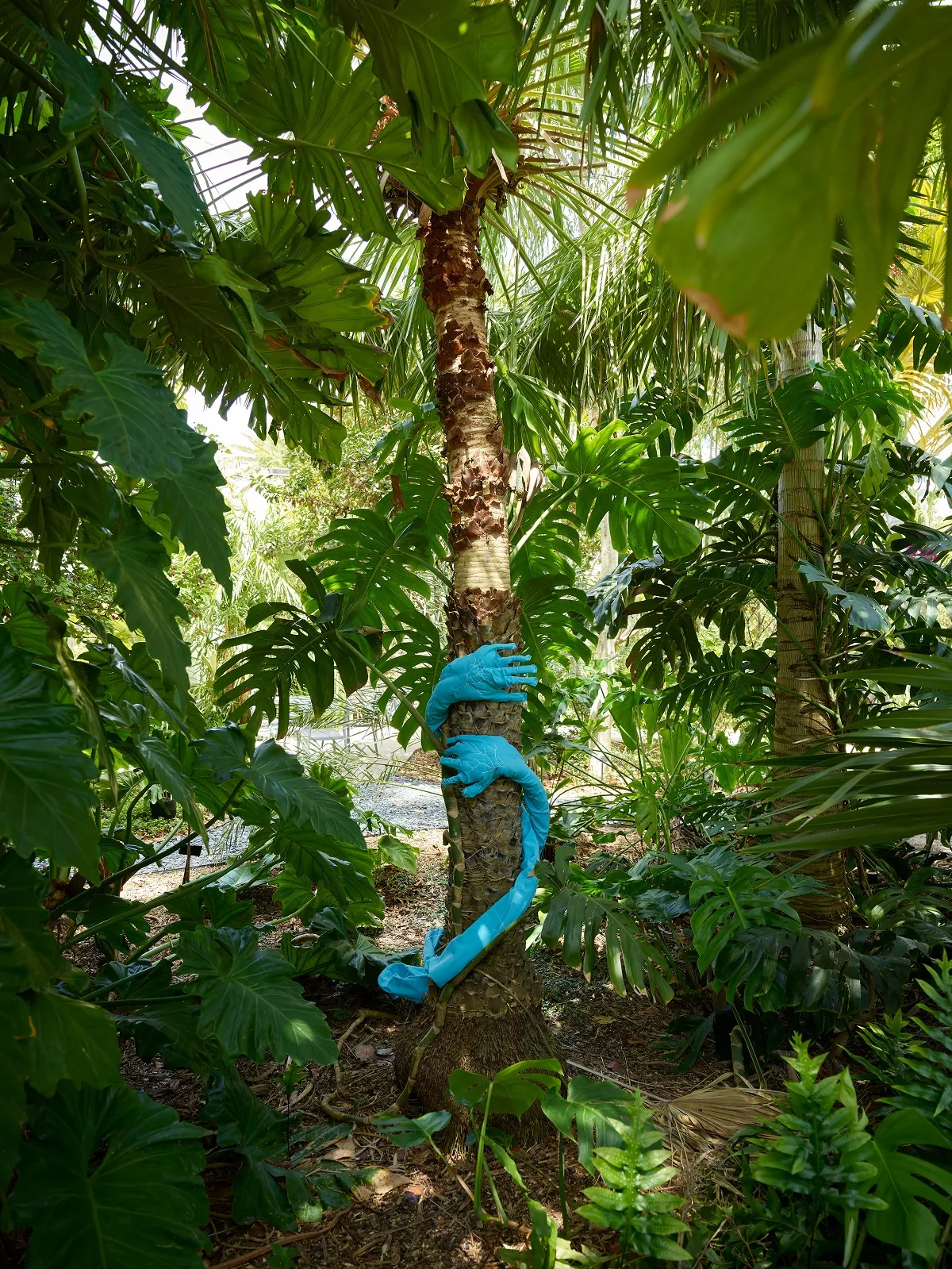 Tree Huggers Installation. 2022 Outdoor fabric. Dimensions variable.