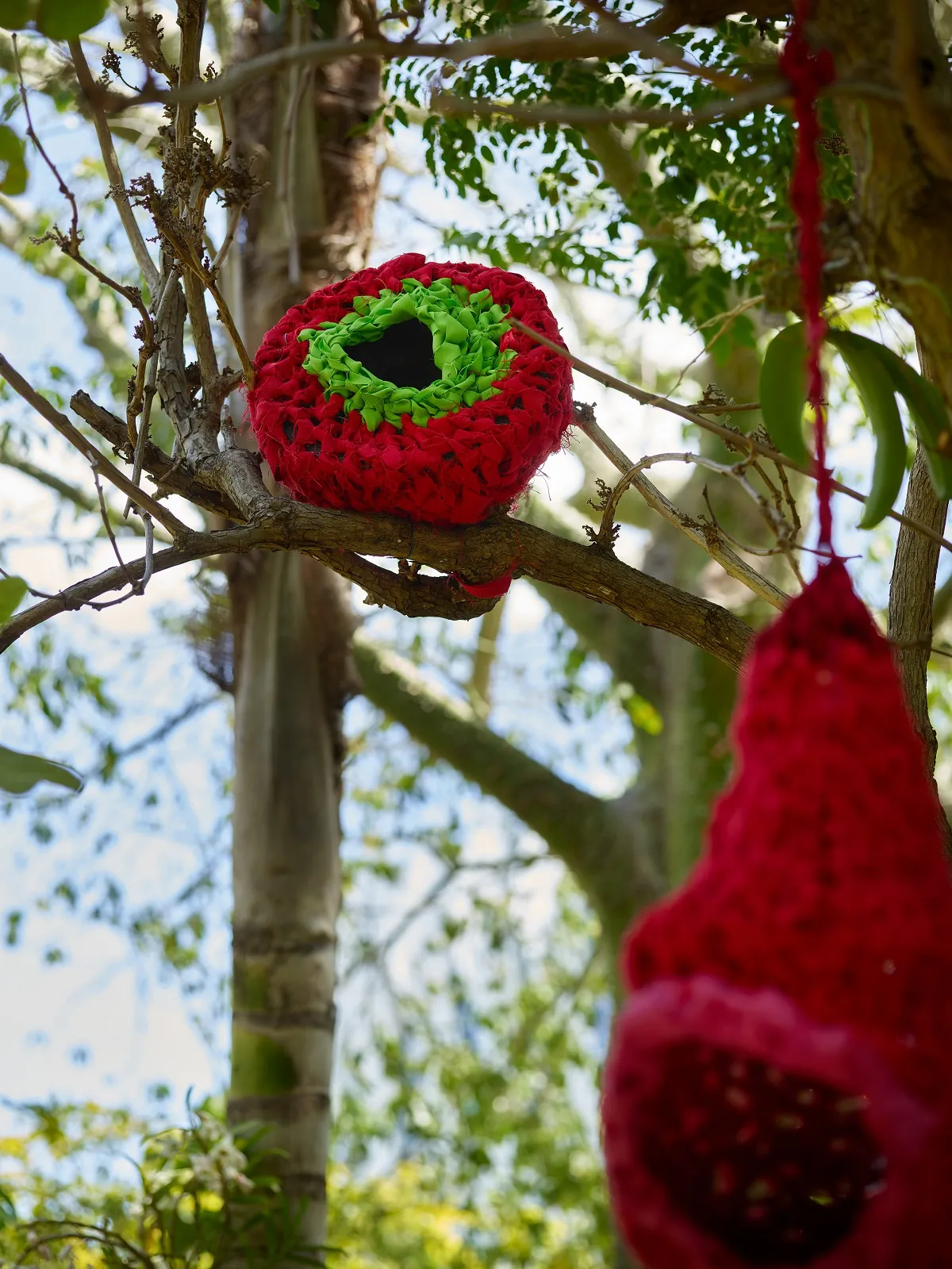 Tree Huggers & Nests, Evelyn Politzer Exhibition at Miami Beach Botanical Garden