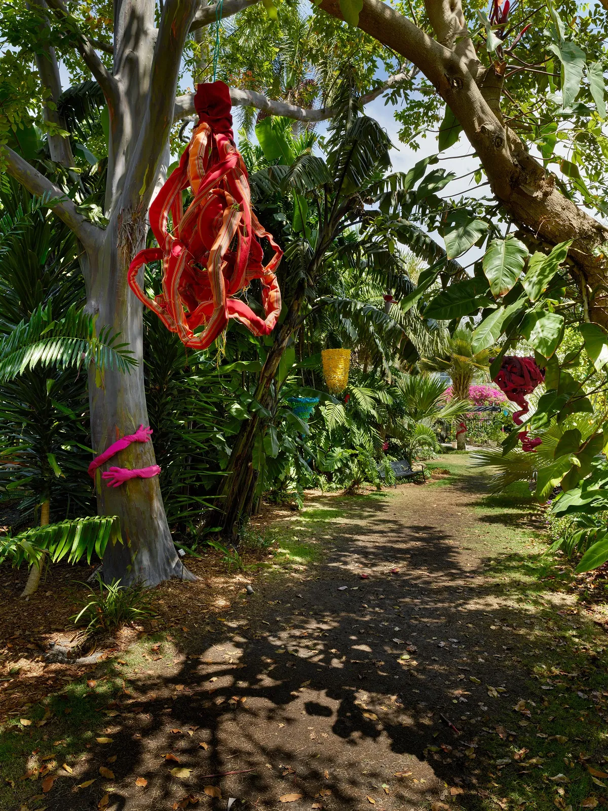 Tree Huggers & Nests, Evelyn Politzer Exhibition at Miami Beach Botanical Garden